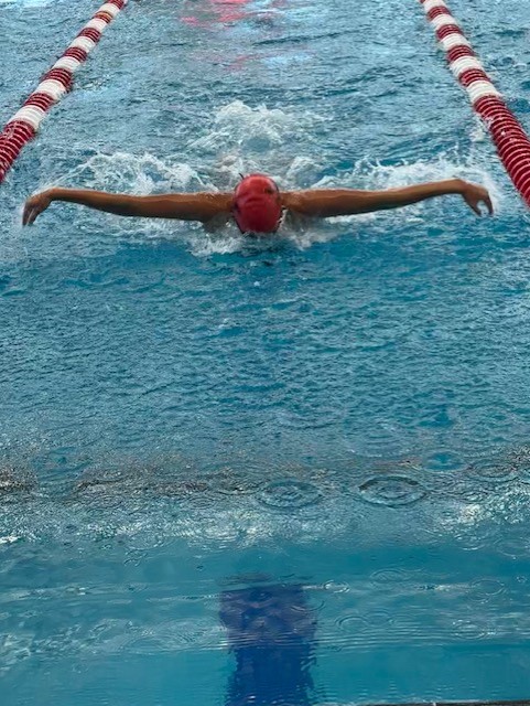A person swimming in a poolDescription automatically generated